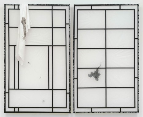 Andrei Koschmieder, Untitled (squid screen), 2013, Foxy Production
