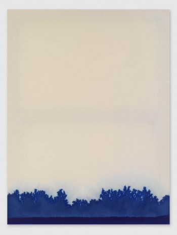 Latifa Echakhch, Everything was changed again because of the dark blue veil. Could not recognize the shapes of the leaves, 2013, Galerie Eva Presenhuber