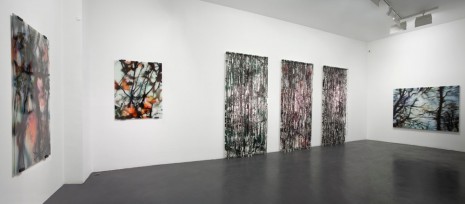 Carole Benzaken, , , Galerie Nathalie Obadia