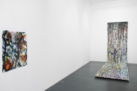 Carole Benzaken, , , Galerie Nathalie Obadia