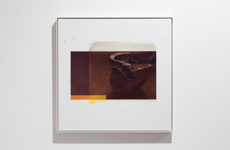 Markus Selg, Python, 2013, Vilma Gold