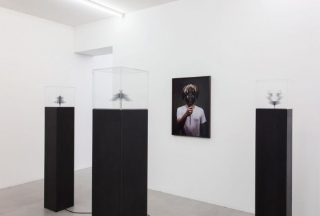 Christian Andersson, Scanner (Plate IV, V, VII), 2012, Galerie Nordenhake