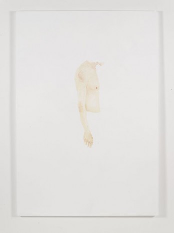 Richard Aldrich, Torso of Blonde Man Staring, 2013, Bortolami Gallery