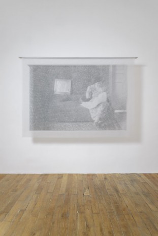 Mona Hatoum, Reflection , 2013, Galerie Chantal Crousel