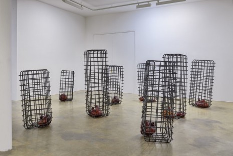 Mona Hatoum, Cellules, 2012-2013, Galerie Chantal Crousel