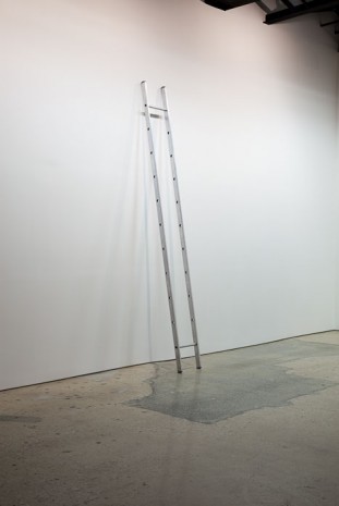 Ceal Floyer, Ladder, 2010, 303 Gallery