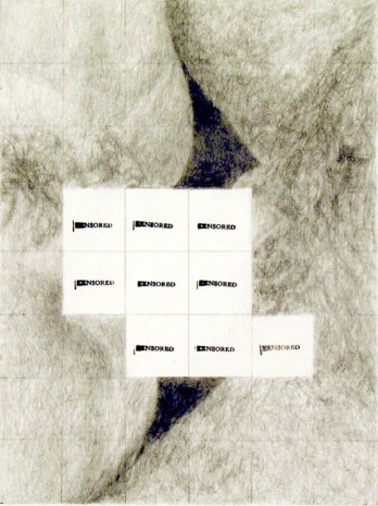 Betty Tompkins, Censored grid #10, 2008, Bortolami Gallery