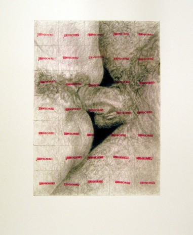 Betty Tompkins, Censored photo #2, 2008, Bortolami Gallery