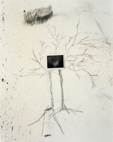 Saul Fletcher, Untitled #288 (twin trees), 2013, Anton Kern Gallery