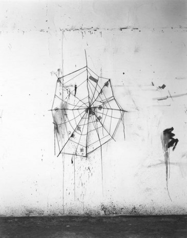 Saul Fletcher, Untitled #276 (Spider Web), 2013, Anton Kern Gallery