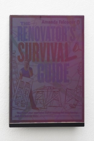 Martin Kohout, Survival Guides for Ballroom Dancers, Renovators, Softball Moms, Working Parents and Troubled Folk in General , 2013, Exile