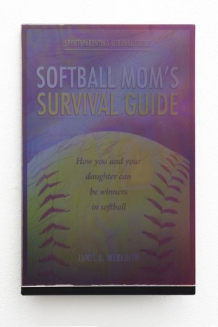 Martin Kohout, Survival Guides for Ballroom Dancers, Renovators, Softball Moms, Working Parents and Troubled Folk in General, 2013, Exile