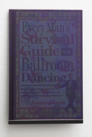 Martin Kohout, Survival Guides for Ballroom Dancers, Renovators, Softball Moms, Working Parents and Troubled Folk in General, 2013, Exile