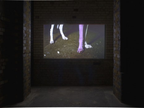 Pierre Huyghe, A way to untilled, 2012-2013, Hollybush Gardens