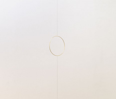 Stephen Lichty, Ring, 2013, Foxy Production