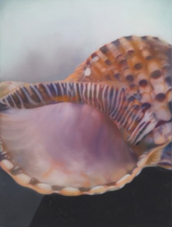 Johannes Kahrs, Untitled (shell), 2013, Zeno X Gallery