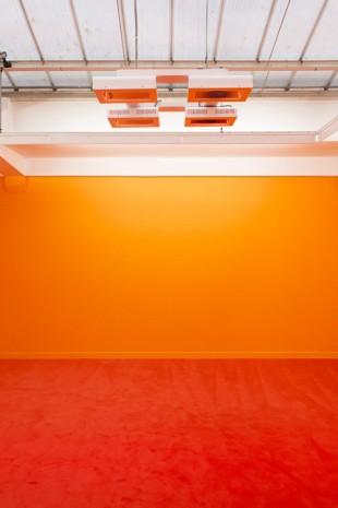 Davide Balula, Heat Room (detail), 2014, rodolphe janssen