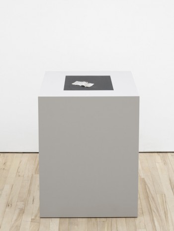 Fergal Stapleton, 2moro (IV), 2014, Carl Freedman Gallery
