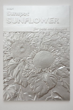 Charles Ray, Sunflower relief, 2011, Matthew Marks Gallery