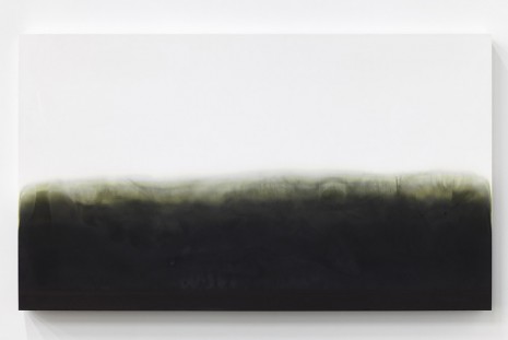 Michel François, Contamination, 2014, Bortolami Gallery