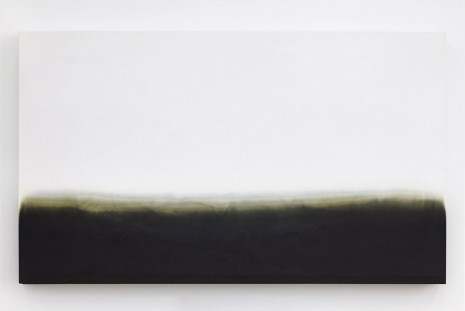 Michel François, Contamination, 2014, Bortolami Gallery