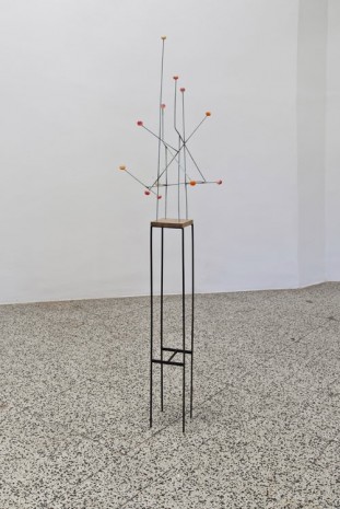 Valentina Ornaghi, Claudio Prestinari, Allineamenti, 2011, Galleria Continua