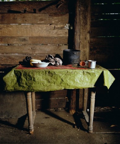 Andres Serrano, Cuba (Green Table Cloth. Playa Duaba, Baracoa), 2012, Galerie Nathalie Obadia