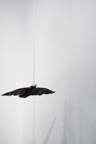 Han Feng, Clothes for Pigeon, 2012, ShanghART