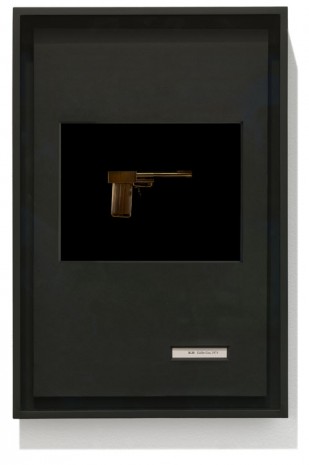 Taryn Simon, “B.20 Golden Gun, 1974”, Birds of the West Indies, 2013, Gagosian