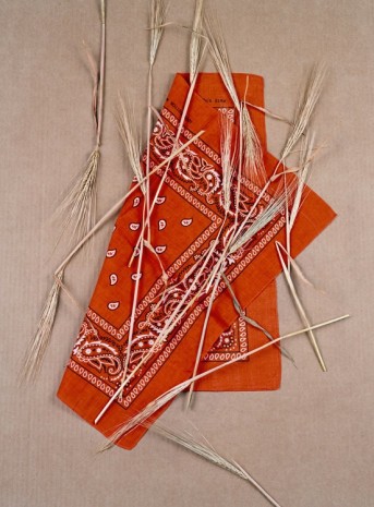 Annette Kelm, Paisley and Wheat, Orange # 1, 2013, König Galerie