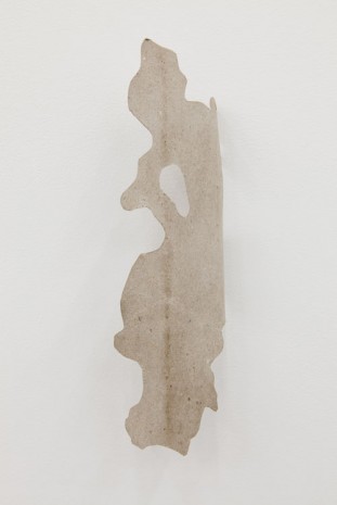 Daniel Steegmann Mangrané, Bark I, 2014, Bortolami Gallery