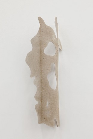 Daniel Steegmann Mangrané, Bark II, 2014, Bortolami Gallery