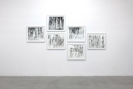 Iñaki Bonillas, The Rain Came Last, 2013, Galerie Nordenhake