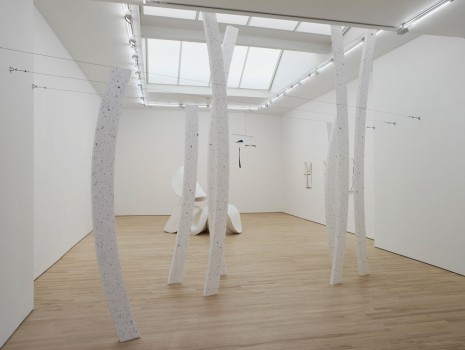Jessie Flood-Paddock, Nude Wood, 2014, Carl Freedman Gallery