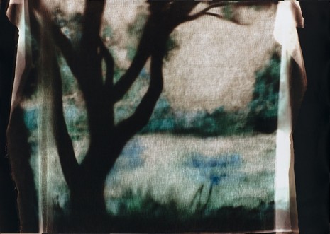 Matt Saunders, Tree (Kuhle Wampe) (Curtain), version 1, 2014, Blum & Poe