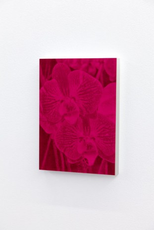 Pierre-Olivier Arnaud, sans titre (abstract - orchid 03 - fushia), 2014, Art : Concept