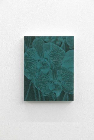 Pierre-Olivier Arnaud, sans titre (abstract - orchid 03 - gris-vert), 2014, Art : Concept