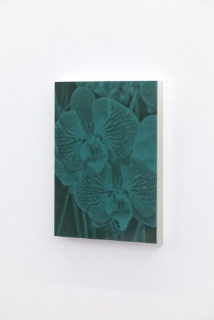 Pierre-Olivier Arnaud, sans titre (abstract - orchid 03 - gris-vert), 2014, Art : Concept