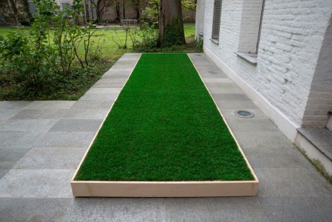 Ceal Floyer, Greener Grass, 2014, Lisson Gallery