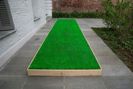 Ceal Floyer, Greener Grass, 2014, Lisson Gallery
