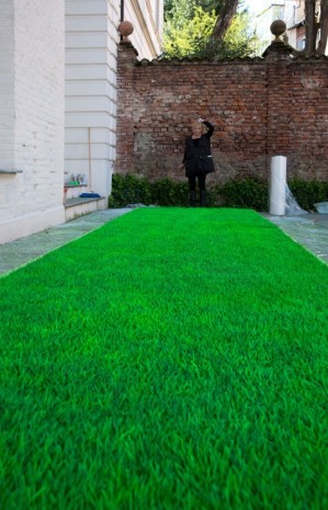 Ceal Floyer, Greener Grass (detail), 2014, Lisson Gallery