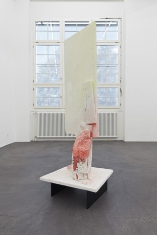Cristian Andersen, Penthouse Pauper, 2014, Galerie Bob van Orsouw & Partner