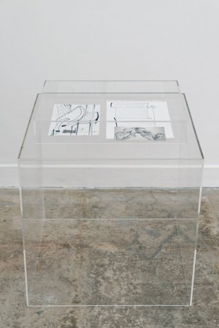 Julien Carreyn, untitled, 2013, Galerie Crèvecoeur