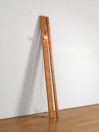 Virginia Overton, Untitled (Gold Label/SPF), 2013, Max Wigram Gallery (closed)