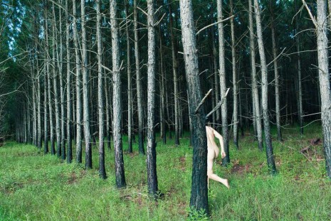 Ryan McGinley, Tree(Procession), 2013, Perrotin