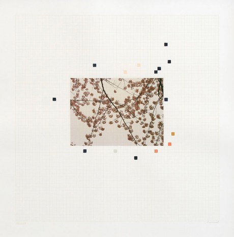 Darren Almond, Sakura Chart # 0.06, 2006, Galerie Max Hetzler