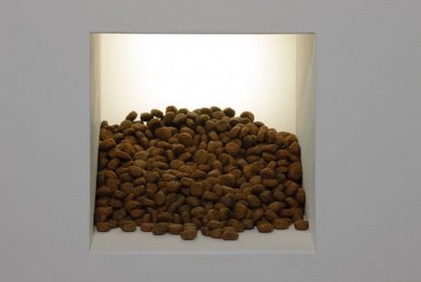 Anicka Yi, Mimetic Peanuts, 2013, Bortolami Gallery