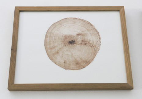 Alain Fournier, Coupe-Perchette, 2011-2014, Imprints Galerie