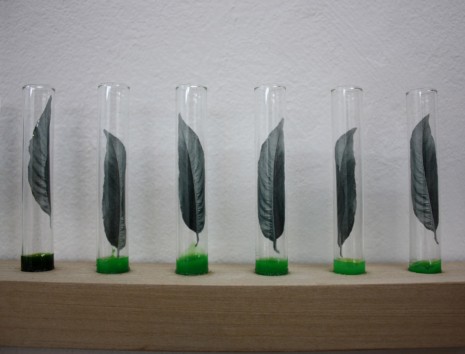 Alain Fournier, Feuilles-Eprouvettes (détail), 2012-2014, Imprints Galerie