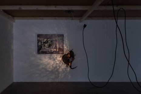 Aleksander Hardashnakov, The Trap Room 1, 2014, Croy Nielsen